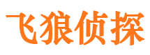 青阳市侦探公司